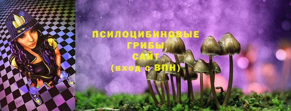 твердый Алзамай