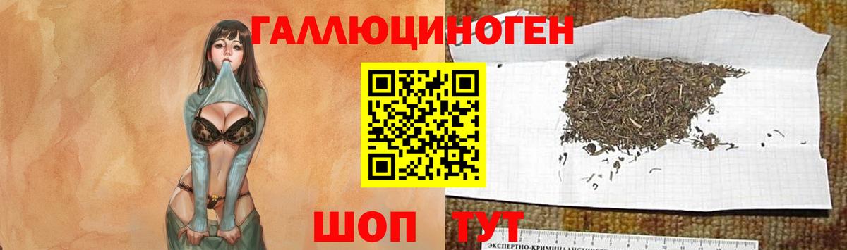 Канаш  где купить наркотик  Псилоцибиновые грибы Psilocybine cubensis  Вход с VPN  Галлюциногенные грибы GOLDEN TEACHER 